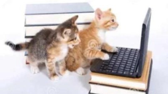 Low quality image of an two kittens using an laptop with a row of books behind them.